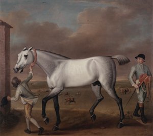 ニューマーケットのハミルトン公爵の灰色の競走馬「ビクトリアス」 作： John Wootton