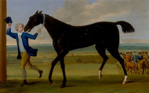 ラトランド公爵のボニー・ブラック 作： John Wootton