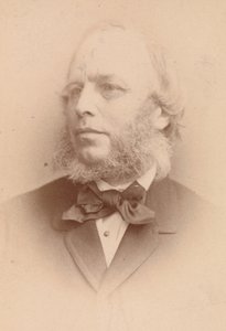 子羊の株、1860 年代。 作： John and Charles Watkins