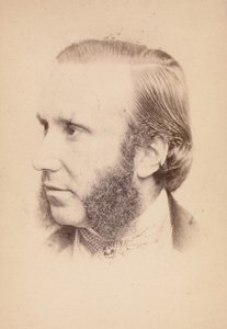 [未知の主題]、1860年代。 作： John and Charles Watkins