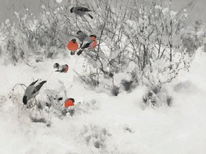 雪の中のベニヒワ 作： 