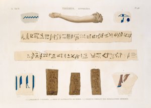 チャールズによって刻まれた「エジプトの説明」のII巻のテベ、ハイポギーズのプレート48、象形文字とミイラの腕のイラスト、1822年（アクアチント） 作： Jomard