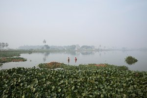 2016年、コルカタでの湿地漁（写真）