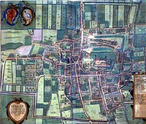 ゲオルク・ブラウン（1541-1622）とフランツ・ホーゲンブルク（1535-90）による「Civitates Orbis Terrarum」からハーグの地図、1572年頃（彩色済み彫刻）。