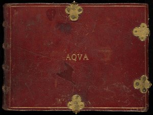 Animalia Aqvatilia et Conchiliata (Aqva)、ボリューム III 作： Joris Hoefnagel