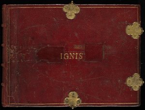 合理的な動物と昆虫 (火)、ボリューム I 作： Joris Hoefnagel