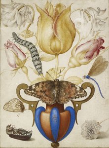花瓶のフラワーアレンジメント、昆虫付き、1594年（ベラムに金を施した水彩画） 作： Joris Hoefnagel