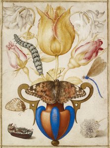 花瓶の中の花のアレンジメント、昆虫付き 1594年 作： Joris Hoefnagel