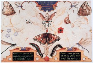 花と虫のいる二連祭壇画、1591年。