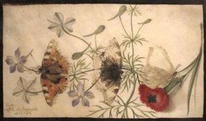 花と蝶の研究 作： ヨリス・ヘフナーゲル