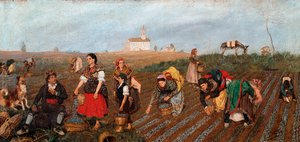 「サフランコレクト」詳細。 Jose Albinana Bru (19 世紀) の絵画。 1877年。バレンシア。 ミュージアム オブ ファイン アーツ サン ピオ V. 作： Jose Bru Albinana