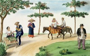 「マニラ周辺のビューのフレバスアルバム」、1845年頃のストリートシーン