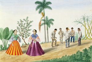 不明な画像 作： Jose Honorato Lozano