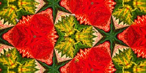 Criaturas: Abelhas no Roseiral 作： Josef Johann Michel