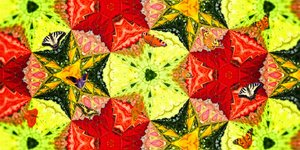 Criaturas: borboletas no jardim de rosas 作： Josef Johann Michel