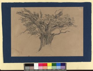 樹木調査 作： Josef Kriehuber