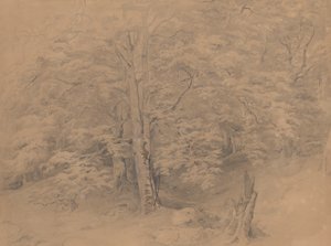  作： Josef Kriehuber