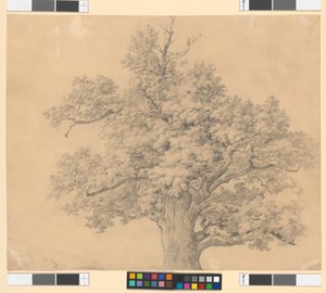  作： Josef Kriehuber