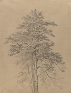  作： Josef Kriehuber