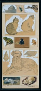 動物研究 (12 スケッチ)