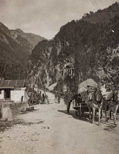 アルバム "Meine weltkriegs - Erinnerungen South-West Front (Carinthia, Italien, South Tyrol) (私の世界大戦-南西戦線の思い出（カリンシア、イタリア、トレンティーノ・アルト・アディジェ）1915/03/1931-12/11/1918 - Josef Zohles Wien ": 軍用ワゴン（モノクロ写真