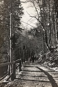 アルバム "Meine weltkriegs - Erinnerungen South-West Front (Carinthia, Italien, South Tyrol) (私の世界の戦争-南西戦線の思い出（カリンシア、イタリア、トレンティーノ・アルト・アディジェ）1915年3月31日-1918年11月19日 - Josef Zohles Wien ": 兵士たちの作業風景（モノクロ写真