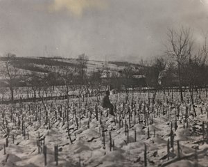 アルバム「Meine weltkriegs - Erinnerungen South-West Front (Carinthia, Italien, South Tyrol) (私の世界大戦-南西戦線の記憶（カリンシア、イタリア、トレンティーノ・アルト・アディジェ）1915/03/1931-12/11/1918 - Josef Zohles Wien ": 軍人墓地（白黒写真 作： Josef Zohles