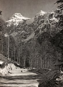 アルバム "Meine weltkriegs - Erinnerungen South-West Front (Carinthia, Italien, South Tyrol) (私の世界大戦-南西戦線の思い出（カリンシア、イタリア、トレンティーノ・アルト・アディジェ）1915/03/1931-12/11/1918 - Josef Zohles Wien ": 山道（モノクロ写真）。 作： Josef Zohles