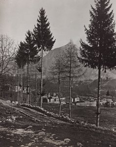 アルバム "Meine weltkriegs - Erinnerungen South-West Front (Carinthia, Italien, South Tyrol) (私の世界大戦-南西戦線の記憶（カリンシア、イタリア、トレンティーノ・アルト・アディジェ）1915/03/1931-12/11/1918 - Josef Zohles Wien ": Plicznaの瓦礫（モノクロ写真）。