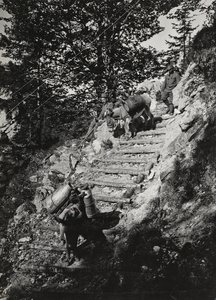 アルバム "Meine weltkriegs - Erinnerungen South-West Front (Carinthia, Italien, South Tyrol) (私の世界大戦-南西戦線の記憶（カリンシア、イタリア、トレンティーノ・アルト・アディジェ）1915年3月31日-1918年11月19日 - Josef Zohles Wien ": 急なデに沿った軍用ラバ 作： Josef Zohles