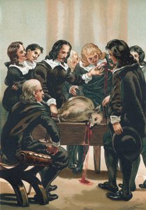 血液の循環を示すウィリアム・ハーヴェイ 作： Josep or Jose Planella Coromina