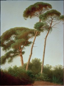 Pinien 作： Joseph August Knip