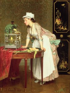 黄色いカナリア 作： Joseph Caraud