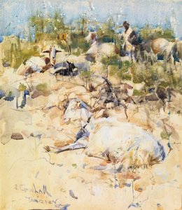 丘の中腹のヤギ、タンジェ （水彩、ガッシュ、紙） 作： Joseph Crawhall