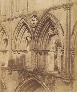 リヴォー修道院。 トリフォリウム アーチ、1850 年 作： Joseph Cundall