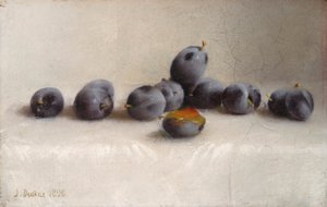 十二梅 作： Joseph Decker