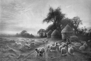 羊の飼育、c1890、1911 作： Joseph Farquharson