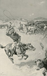 クイーンズランド州の畜牛 作： Joseph Finnemore
