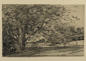 木の研究、1870年（紙に黒鉛） 作： Joseph Frank Currier