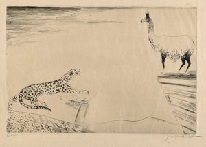 ジャガーとラマ