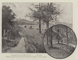 Churchyard Bottom Wood、Highgate、そのスポリエーションについて議論中 作： Joseph Holland Tringham