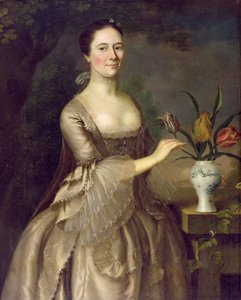 女性の肖像（ミセスダヴェンポート）c.1762 作： Joseph Jonathan Blackburn