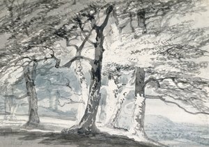 サリー州ノーベリーパーク（紙に鉛筆と水彩） 作： Joseph Mallord William (attr.to) Turner