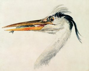 魚とサギ 作： Joseph Mallord William Turner