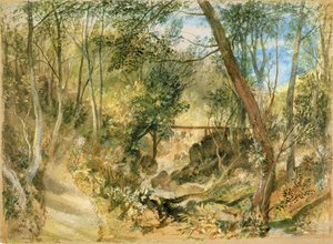 PD.50-1958ファーンリーホールのウッドウォーク、1818年頃（トイレとガッシュ） 作： Joseph Mallord William Turner
