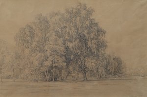ニーダーエスターライヒ州のゼーベンシュタイン城の公園にある白樺の木のグループ 作： Joseph Martin Höger