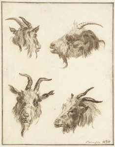ヤギの頭部に関する 4 つの研究 作： Joseph Mendes da Costa