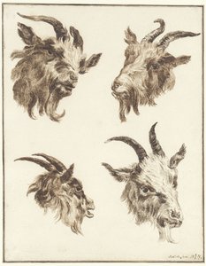 ヤギの頭部に関する 4 つの研究 作： Joseph Mendes da Costa