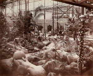 ロンドンのクリスタル・パレス：熱帯部分、1870年頃（モノクロ写真