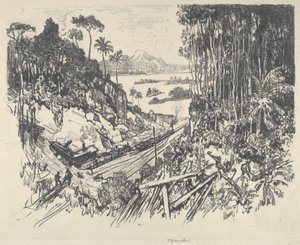 ジャングル』（1912年）。 作： Joseph Pennell